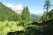 IMG_0058