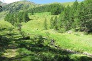 IMG_0060