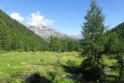 IMG_0062