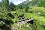 IMG_0065