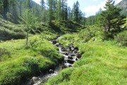 IMG_0066