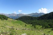 IMG_0070