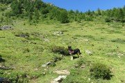 IMG_0074