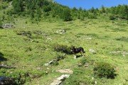IMG_0075