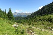 IMG_0083