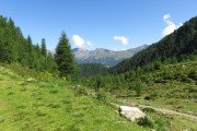 IMG_0086