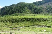 IMG_0089