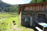 IMG_0093