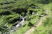 IMG_0099