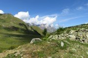 IMG_0117