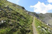 IMG_0126