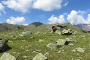 IMG_0145