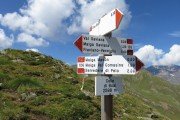 IMG_0155