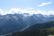 IMG_0194
