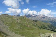 IMG_0201