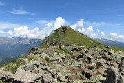 IMG_0203