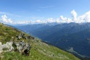 IMG_0207