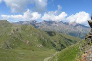 IMG_0217