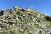 IMG_0221