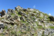 IMG_0222