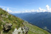 IMG_0223