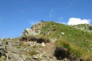 IMG_0226