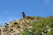 IMG_0228