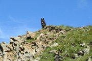 IMG_0229