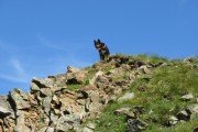 IMG_0230