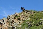 IMG_0231