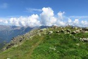 IMG_0235