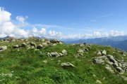 IMG_0246