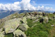 IMG_0248