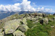 IMG_0249