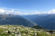 IMG_0262
