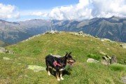IMG_0264