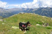 IMG_0265