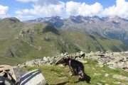 IMG_0270