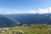 IMG_0294