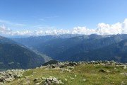 IMG_0295