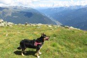 IMG_0303