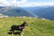 IMG_0305