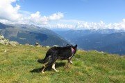 IMG_0307