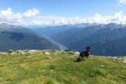 IMG_0308