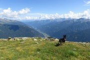 IMG_0309