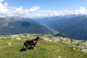 IMG_0310