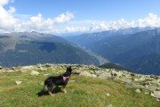 IMG_0311