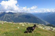IMG_0314
