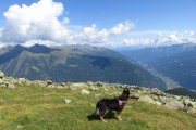 IMG_0315
