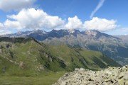 IMG_0317